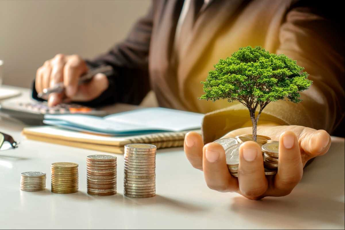investimento investimento