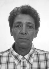 Foto Palito 22555